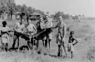 Kite hawk shot by Jock Dalrymple