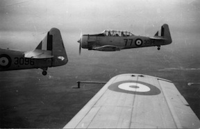 Three-plane Harvard Vic formation
